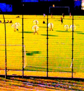 Training_3_copyright_Heiner_Metzger_201506 - 1