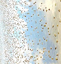 klingding radio 18.12.15  •  feature:  klub katarakt 11 •  22.-0.00 FSK93/101,4mhz,&nbsp;Dab+