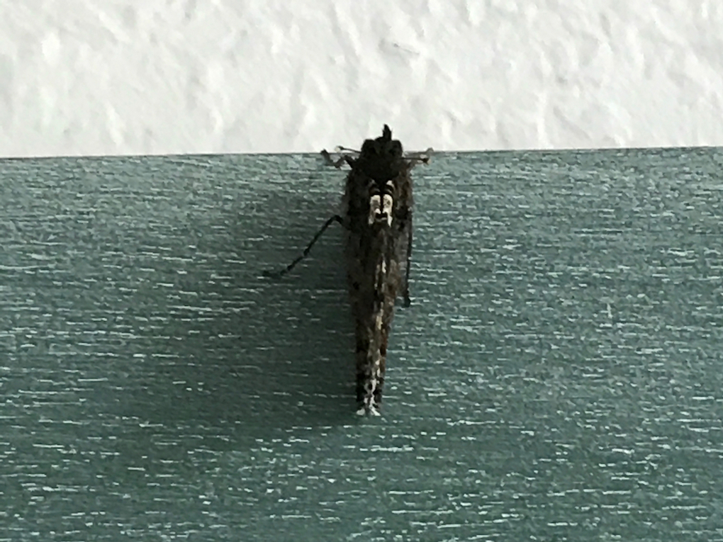 Frei, 15.9.17, 22:00 klingding radio • Feature: Burkhard Stangl und die Wiener Impro / Electronicszene • FSK&nbsp;93,0