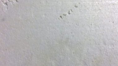 Soloset bei der Ausstellung Postdigital – Utopie und Un-Raum 10. – 20.Oktober 2019  •  Atelierhaus Breite Strasse&nbsp;70