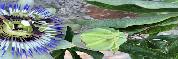 Frei, 16. Oktober 20  20:00 • h7 club@blurred edges 2020 • ICNISP & EMN • electroacoustic + open notation + improvisation• Künstlerhaus&nbsp;Faktor