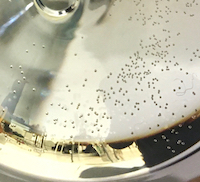 Frei 20.11.20   22 – 0:00  klingding radio  •  das blurred edges 2020 Festival und nun?   •  FSK 93,0 Mhz