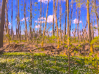 Frei  15.4.22  22 Uhr  • klingding radio • im Studio: John Hughes with bass + tracks • FSK 93,0&nbsp;mhz